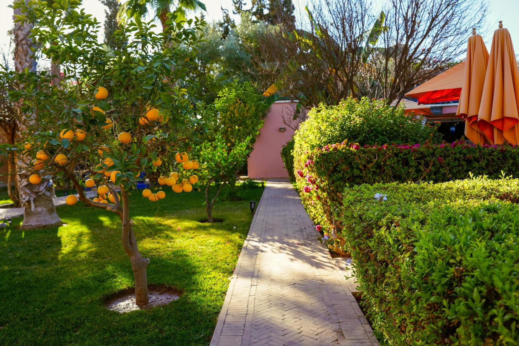 Riad Redwan Douar Caïd Layadi Exteriör bild